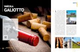 Vinícola Galiotto · producción que combina antiguas tradiciones y modernas tecnologías. Con dedicación y modernas técnicas de viticultura, la sociedad Vinícola Galiotto propone
