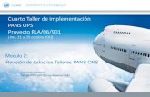 Cuarto Taller de implementación PANS OPS Proyecto RLA/06/901 · Que el planificador del espacio aéreo evalúe la mejor forma de denominar las SID/STAR (con o sin la aplicación