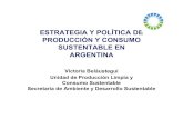 ESTRATEGIA Y POLÍTICA DE PRODUCCIÓN Y CONSUMO SUSTENTABLE … · desarrollo integral y sustentable de la Argentina, considerando tanto aspectos económicos como ambientales y sociales.