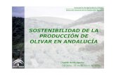 SOSTENIBILIDAD DE LA PRODUCCIÓN DE OLIVAR EN ANDALUCÍA€¦ · Olivar intensivo 94.845 7 22.325 9 Tipologías de olivar Superficie total Explotaciones En Andalucía el olivar que