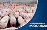 Granja Biotécnicas MAYO 2020 - biotecnicas.com.ar€¦ · La siguiente presentación es una simulación de costos de una granja de producción porcina de ciclo completo. Valores