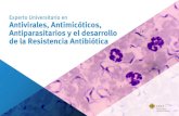 Experto Universitario en Antivirales, Antimicóticos ...€¦ · Experto Universitario en Antivirales, Antimicóticos, Antiparasitarios y el desarrollo de la Resistencia Antibiótica