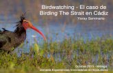 Birdwatching - El caso de Birding The Strait en Cádiz · 2015. 10. 30. · Perfil del turista “pajarero” - Reino Unido - Estados Unidos y Canadá - Países de Norte y Centro
