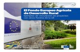 El Fondo Europeo Agrícola de Desarrollo Rural€¦ · de desarrollo rural de la región alemana de los lagos, en Mecklemburgo. Entre otras necesidades locales, se pedía una mejora