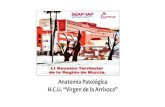 Anatomía Patológica H.C.U. “Virgen de la Arrixaca”. Pilar Vicente Navarro.pdf · centro de especialidades dr. quesada sanz . hospitales privados que mantienen concierto nuestro
