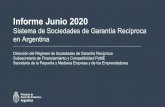 Informe Junio 2020 - mav-sa.com.ar · Informe Junio 2020 Sistema de Sociedades de GarantíaRecíproca en Argentina Direccióndel Régimende Sociedades de GarantíaRecíproca Subsecretaria