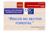 I.- RIESGOS SECTOR FORESTALissga.xunta.gal/export/sites/default/recursos/descargas/...Castela-León (2005), Cataluña (2006) e Murcia (2006). • A primeira vez que se aborda o estudo