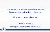 Los canales de trasmisión en un régimen de inflación ...€¦ · Priorizar el objetivo de inflación sobre otros objetivos (flexibilidad de la tasa de cambio). Tener un banco central