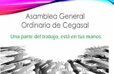 Asamblea General Ordinaria de Cegasal - COGAMI · 2018. 1. 2. · •Visita a Trameve con el Alcalde de Ames, José Miñones y el Concelleiro de Urbanismo Blas García. ASAMBLEA CEGASAL