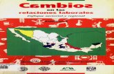 Primera edición 1999 - UNAMru.iiec.unam.mx/2504/1/CambiosEnLasRelLabVolII.pdf · miller tiene 21 habitantes por km2. Mientras la ciudad de Querétaro se encuentra por encima de la