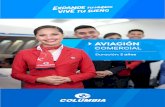 Brochure digital aviacion comercial 2019 -ACTUALIZADO€¦ · Taller de comunicación efectiva y liderazgo Geografía y codiﬁcación IATA Globalizador: Amadeus Tráﬁco lost and