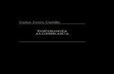 Carlos Ivorra Castillo - UVivorra/Libros/TA.pdf · topológicos de naturaleza algebraica (grupos, módulos, álgebras) que permiten analizar en profundidad los espacios topológicos