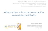 Alternativas a la experimentación animal desde REACH jornada/Documentos/31 REACH_Laura Zamora.pdf · Laura Zamora Navas PORTAL DE INFORMACIÓN REACH-CLP C/Julián Camarillo, 6B,