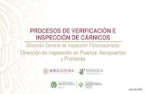 Procesos de verificación e inspección en OISAS...ORGANIGRAMA DIRECCIÓN GENERAL DE INSPECCIÓN FITOZOOSANITARIA (DGIF) VIGILANCIA EN PUERTOS, AEROPUERTOS Y FRONTERAS 6 Profesionistas