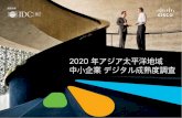 2020 Asia Pacific SMB Digital Maturity Study€¦ · デジタル成熟度指数は、デジタル戦略および組織、デジタルプロセスおよびガバナンス、デジタルテクノロジー、デジタル人材およびスキ