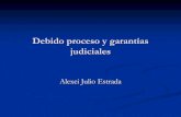 Debido proceso y garantías judiciales - Consejo de la ... · referencia a la privación de la libertad, exclusión de detenciones arbitrarias, información sobre las razones de la