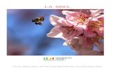 La miel - Biblioteca Virtual Seniorbibliotecavirtualsenior.es/wp-content/uploads/2019/06/La-miel.pdf · La cosmética es otro campo donde la miel aporta sus propiedades naturales