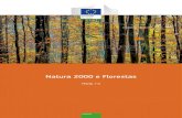 Natura 2000 e Florestas - European Commission...2 Natura 2000 e Florestas oportunidades de criação, por parte de todos os intervenientes, de novas sinergias através do desenvolvimento