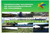 FFEEDDEERRAACCIIÓÓNN NNAACCIIOONNAALL DDEE ... MITOS... · Los biocombustibles son un “derecho estratégico” de los colombianos En esta edición especial, la Federación Nacional