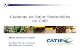 sesion7 2 Veronica Gottret Cadenas de Valor Sostenibles de ... VII... · Cadena de Valor Orientación: demanda Enfoque principal: valor / calidad (diferenciación) Estructura organizacional: