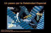 Un paseo por la Relatividad Especial · Animación: Trayectoria farol- jefe estación desde el tren Inés Bonet (IAC) Créditos. Imágenes y animaciones (numeradas por diapositiva)