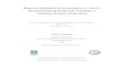 Repositorio | FAUBA | Chicahuala Martin S. 'Respuestas ...ri.agro.uba.ar/files/download/tesis/maestria/2013chicahualamartin.pdf · del pastizal natural de San Luis (Argentina), a