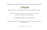 EMPRESA NACIONAL DE ELECTRICIDAD - ENDE · empresa nacional de electricidad proyecto hidroelÉctrico miguillas contrataciÓn directa con proceso previo cdcpp-ende-2018-062 expresiones