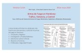 Armas de Fuego en Honduras: Tráfico, Violencia, y Control · armas de fuego: 2333 / 74.6% Porcentaje de Homicidios a causa de armas de fuego Congreso Nacional Instituto Universitario