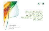 Biotecnología palicada al mejoramiento forestal El caso de UPM · UPM-Forestal Oriental • Producción de plantas madres revigorizadas y rejuvenecidas. • Pre multiplicar clones