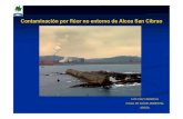 Contaminación por flúor no entorno de Alcoa San Cibrao · 2010. 4. 12. · Foron recollidas 109 mostras de solo, 283 mostras de vexetación, e mostras de auga realizadas mensualmente
