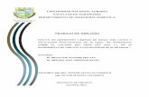 TRABAJO DE DIPLOMA - UNArepositorio.una.edu.ni/2197/2/tnf06a284.pdf · trabajo de diploma . efecto de diferentes lÁminas de riego por goteoy aplicaciÓn fraccionada de 50 kg.ha-1