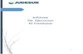 Informe - judesur.go.cr · A manera de introducción en este informe se presenta el siguiente cuadro, en el cual se describe la ejecución presupuestaria por programa al 30 de setiembre