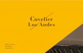 brandbook cla-clos7 - Cuvelier Los Andescuvelierlosandes.com/branding/brandbook-cla-clos7-esp.pdf · Colección es nuestra segunda etiqueta detrás de Grand Vin tal como 10 entendemos