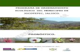 Programa de Ordenamiento Ecológico Local del Municipio de ...siga.jalisco.gob.mx/multi/dpdspronosticojocotepec.pdf · Programa de Ordenamiento Ecológico Local del Municipio de Jocotepec,