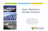 Flavia Liberona Directora Ejecutiva Fundación Terram · Año 2009 (no condujo a mecanismos de protección eficaz) • Estrategia Nacional de Glaciares (2009). • Proyectos de inversión