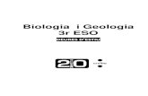 Biologia i Geologia 3r ESO · 2014. 7. 16. · Completa els rectangles buits amb les funcions de la sang, basant-te en les explicacions que apareixen a la dreta: La sang s'escalfa