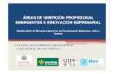 ÁREAS DE INSERCIÓN PROFESIONAL EMERGENTES E …empleo.usal.es/docs/areasip.pdf · formaciÓn especÍfica y de calidad en redes sociales. gestiÓn y desarrollo de servicios multimedia