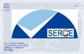 Dr. C. Héctor Valdés Coordinador del LLECE Santiago Proyectos... · 2013. 1. 31. · de la varianza en los logros cognitivos es explicado en su ... Costa Rica 37,6 39,3 11,7 6,9