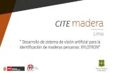 “Funcionamiento, operación y uso del sistema de visión ... · regiones del Peru. CITEmadera. Para lograr sus objetivos, CITEmadera se ha asociado con varias entidades nacionales