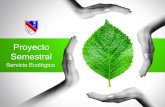 Proyecto Semestral - WordPress.com...Proyecto Semestral Servicio Ecológico Objetivo • Conocer y manejar los elementos esenciales para el Diseño de un servicio. • Reconocer la
