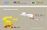 INFORME FINAL Informe Final. Grupo Técnico de Análisis de Resiliencia en Seguridad Alimentaria y Nutricional de Costa Rica (ARSANCOR), Grupo Técnico de Análisis de Resiliencia