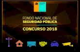 PRESENTACIÓN - FNSP · PRESENTACIÓN • El Fondo Nacional de Seguridad Pública (FNSP) fue creado el año 2010, durante el Gobierno del Presidente Sebastián Piñera. Consiste en