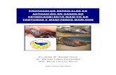 PROTOCOLOS ESPECIALES DE ACTUACIÓN EN CASOS DE ...delfinaustral.com/mar_limpio/publicaciones/JOSEP ALONSO/PROTO… · de las especies catalogadas en peligro de extinción en todo