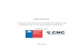  · 2019. 6. 19. · 3 Informe Final Estudio FNSP -CNC RESUMEN EJECUTIVO La Cámara Nacional de Comercio, Servicios y Turismo de Chile, ejecutó el “Estudio de Comercio Ambulante