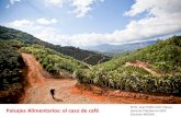 M.Sc. Juan Pablo Solís Víquez Paisajes Alimentarios: el ... · fomentar alianzas e invertir en paisajes productivos” SAFE busca transformar los paisajes de café y de cacao para