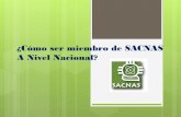 ¿Cómo ser miembro de SACNAS A Nivel Nacional? · Home About Students Membership Signup Institutions Get Involved Professionals Complete this form to sign up for or renew a 1-year,