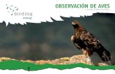 OBSERVACIÓN DE AVES - turismo.euskadi.eus€¦ · aves en Euskadi. Para que disfrute ... un 10,6 % dentro de la Red de Espacios Naturales Protegidos del País Vasco y siete Humedales