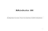 Módulo III - IPLACEXcursos.iplacex.cl/PERFECCIONAMIENTO/Dipl_001/L1/M3.pdf · programación curricular del grupo de referencia. Así, el proceso de adaptación curricular individualizada