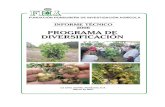 INFORME TECNICO 2006 PROGRAMA DE DIVERSIFICACION final · viveros y plantaciones establecidas en el campo a través de los análisis del Laboratorio de Protección Vegetal de la FHIA,