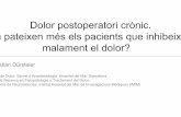 Dolor postoperatori crònic. n pateixen més els pacients ... · nilateral, el tamany de la mostra es de ercentaje del 44% de presència de D acients amb mala AE i una reducció f